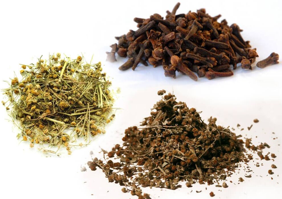 Pelyněk, tansy a hřebíček, jak se zbavit parazitů